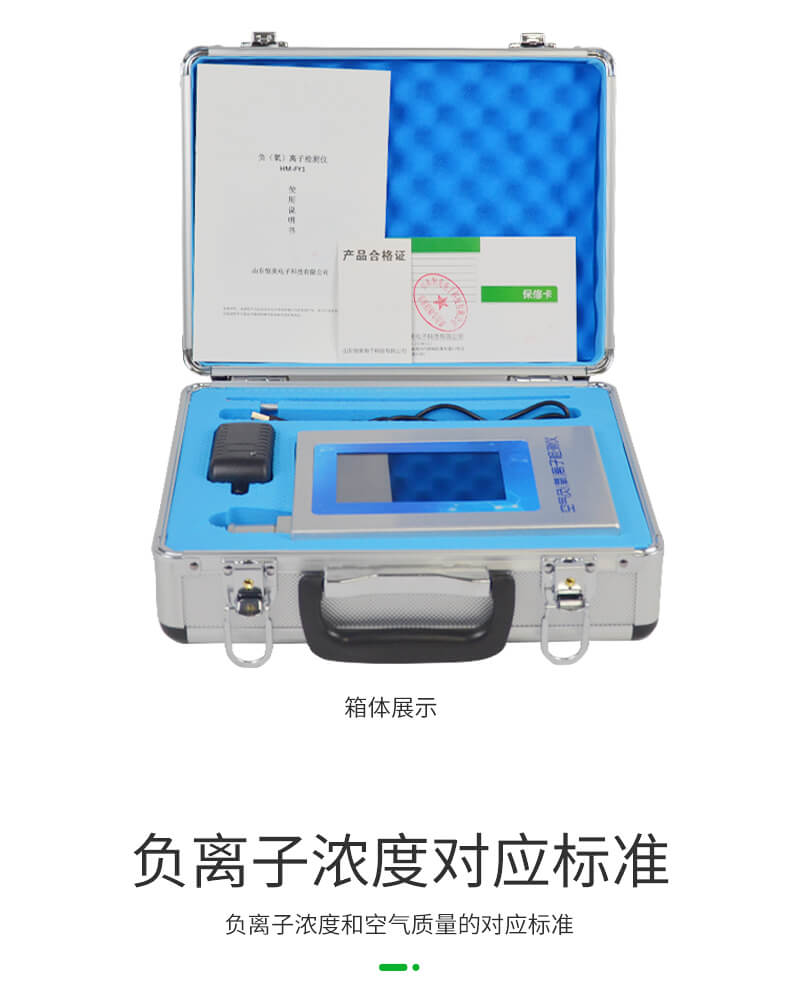 负氧离子甲醛检测仪