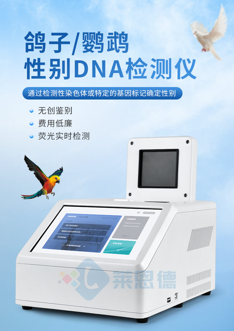 鸽子/鹦鹉性别DNA检测仪