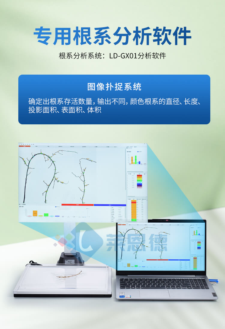 植物根系分析仪