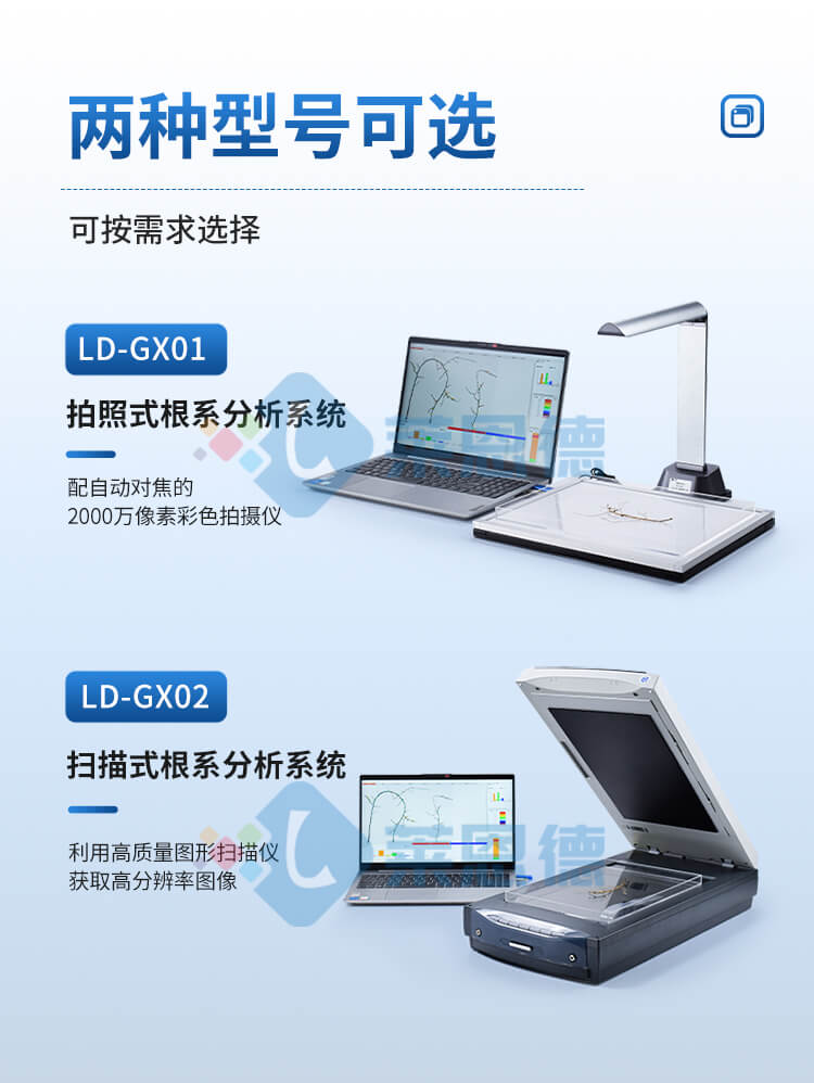 植物根系图像分析仪