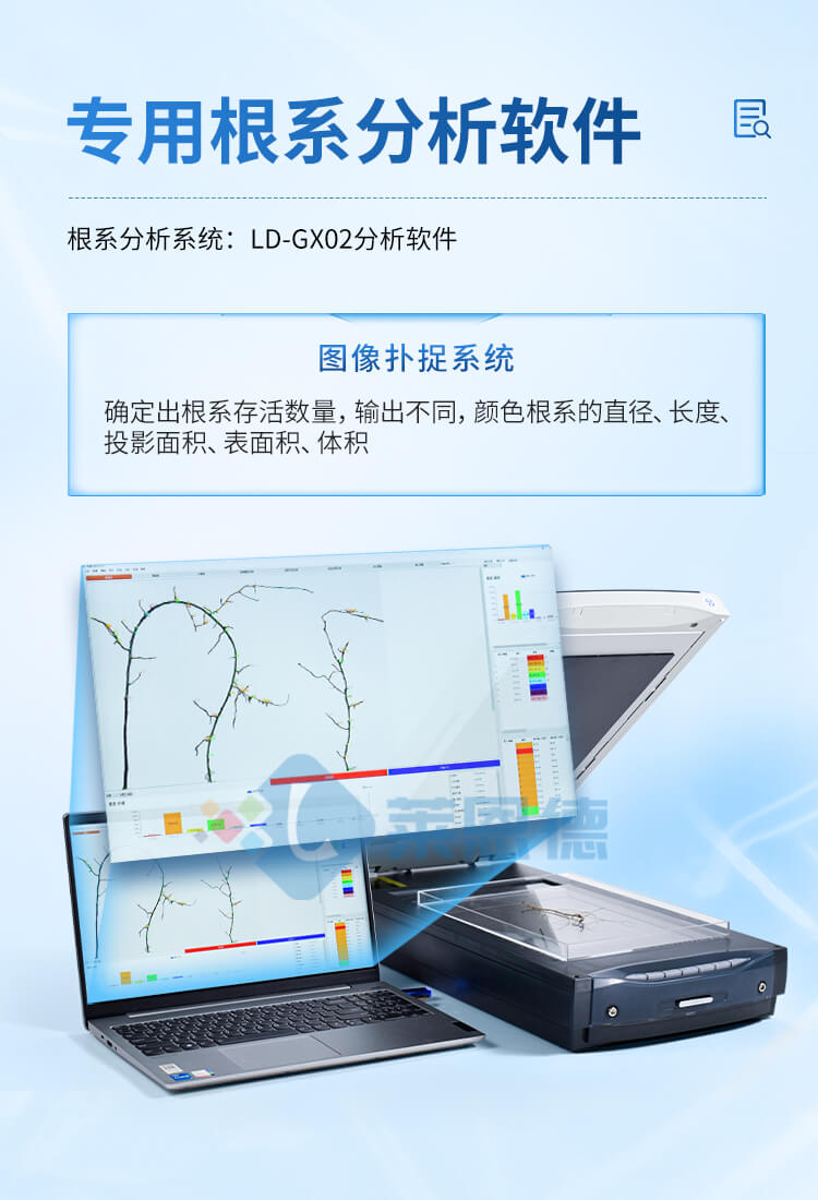 植物根系图像分析仪