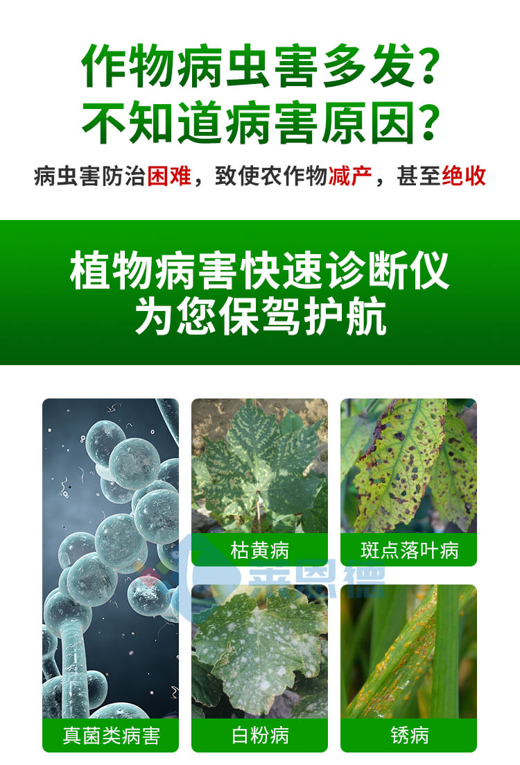 植物病虫害诊断仪