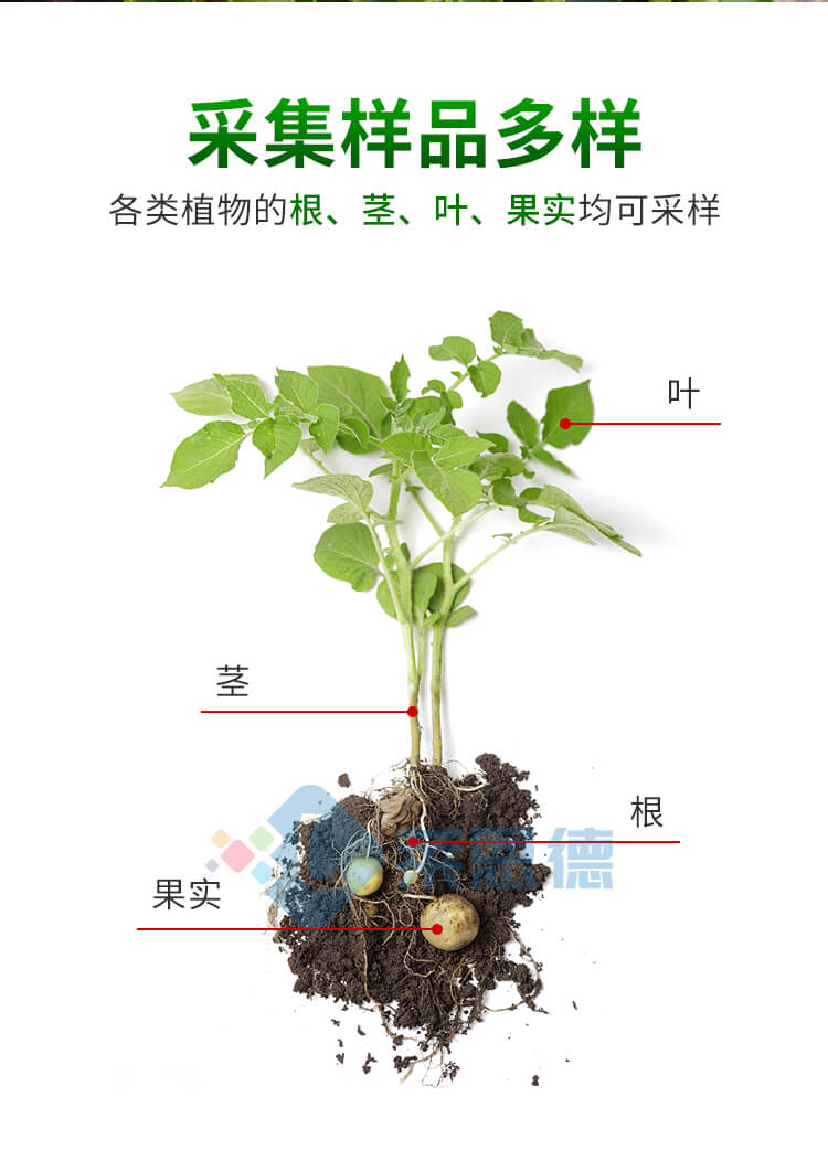 植物病虫害诊断仪