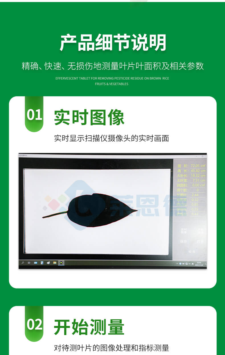 拍照式叶面积测量仪