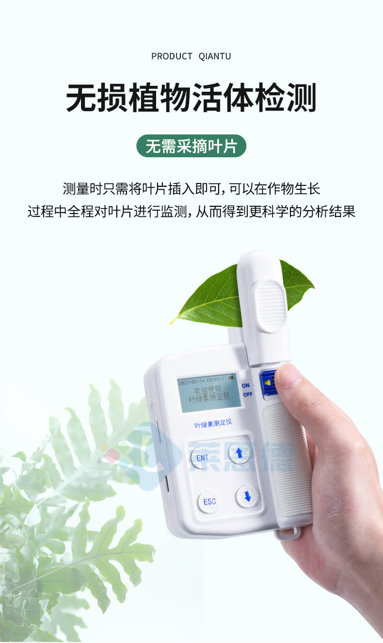 叶绿素检测仪