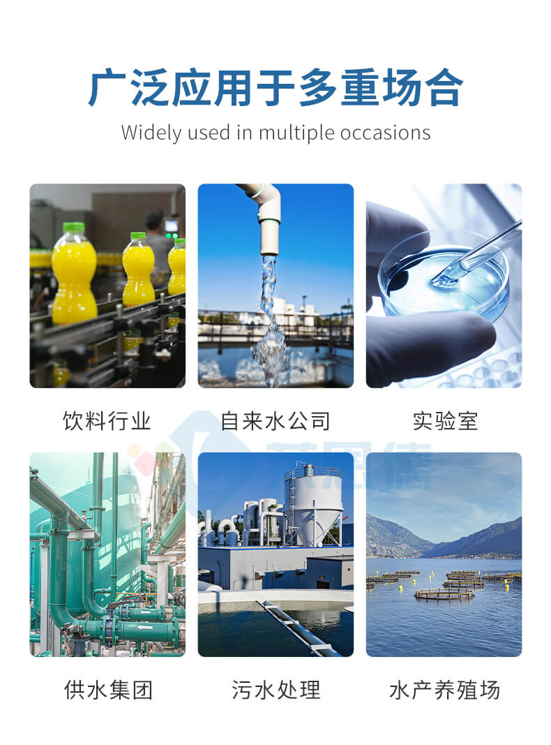 手持在线溶解氧检测仪