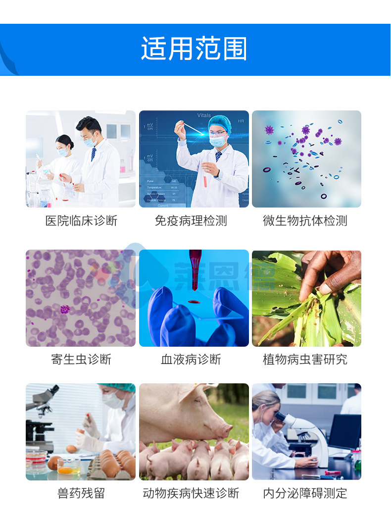全自动酶标仪
