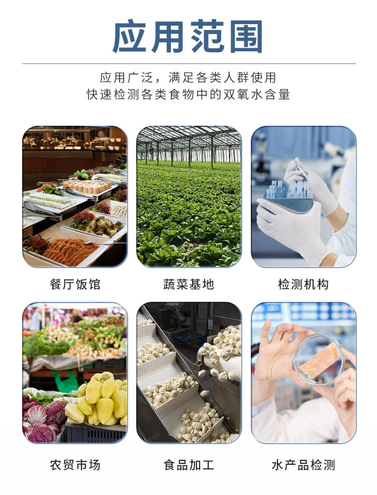 双氧水检测仪