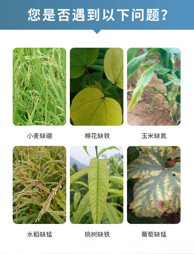 土壤微量元素测试仪