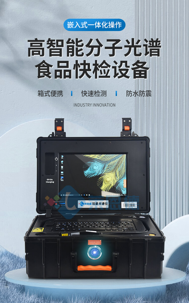 拉曼光谱分析仪