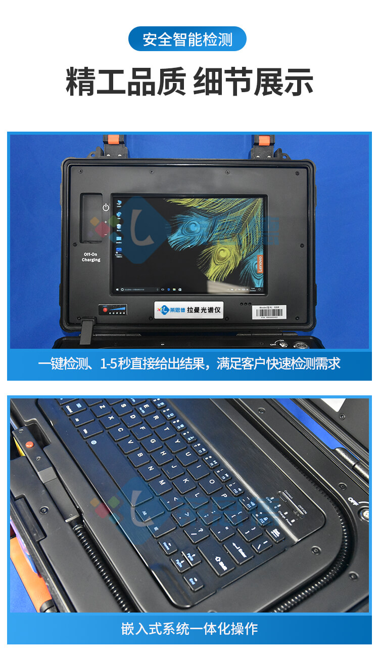 拉曼光谱分析仪