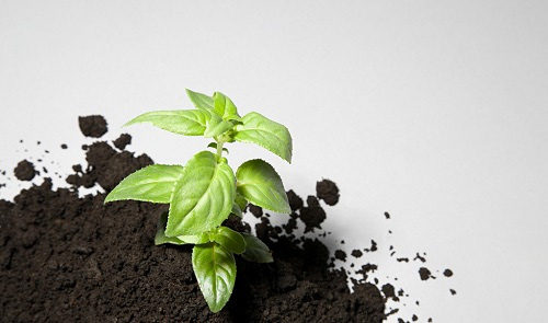土壤养分速测仪是种植农作物的好帮手！