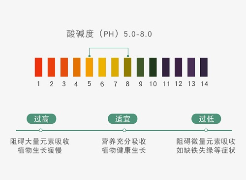应用土壤pH速测仪加强土壤检测