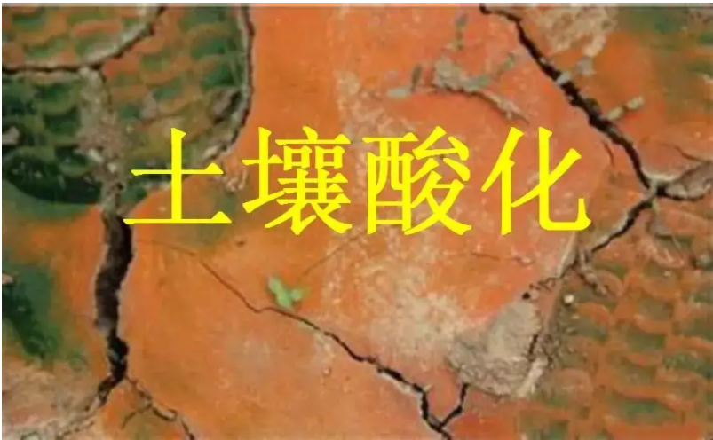 识别土壤“病”，土壤测试仪器是如何提高土壤免疫力的？