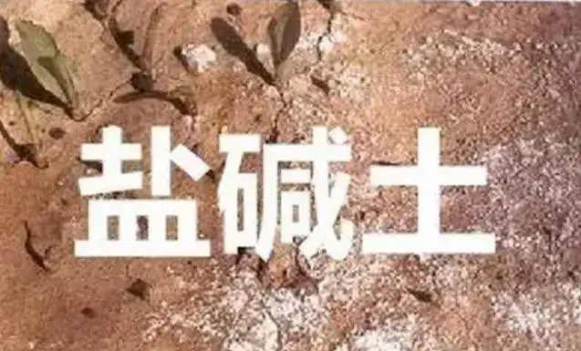作物为什么生长不健康，用土壤EC计测测便知