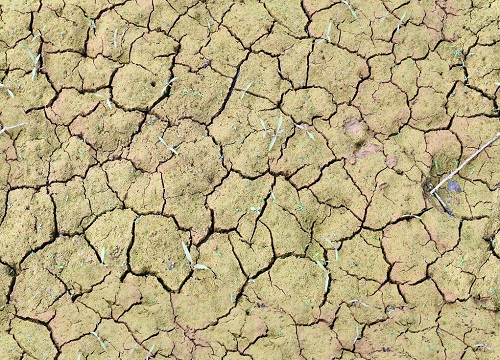 土壤墒情记录仪：透视土壤及时发现植物缺水