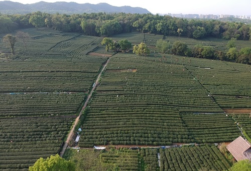 肥料不是越多越，利用测土仪提高化肥利用率