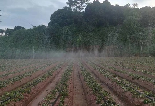分享-土壤水分测定仪的使用注意事项