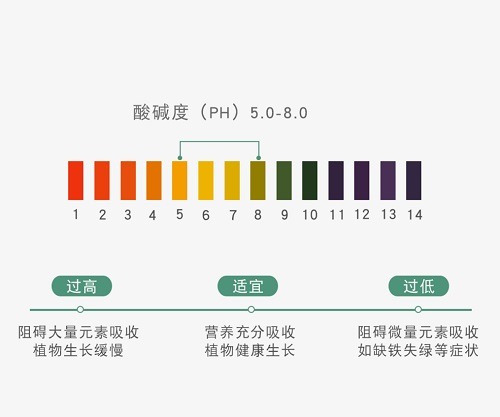 使用土壤PH速测仪之前需要先了解其产品特性