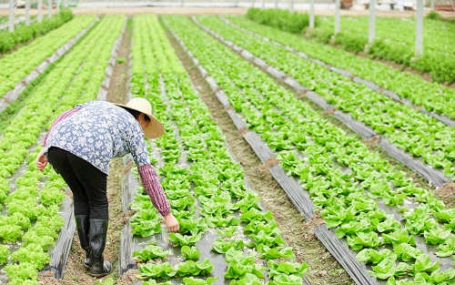 土壤水分监测、精细土壤监测、精细土壤改良，只需要一台土壤检测仪
