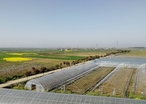 土壤重金属检测仪对土壤重金属含量变化了如指掌，活该招人喜欢