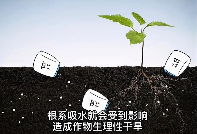土壤EC值和pH值与作物生长的关系，利用土壤盐分仪缓解土壤盐渍化