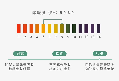 越来越严重的土壤酸化需要应用土壤原位pH仪科学应对