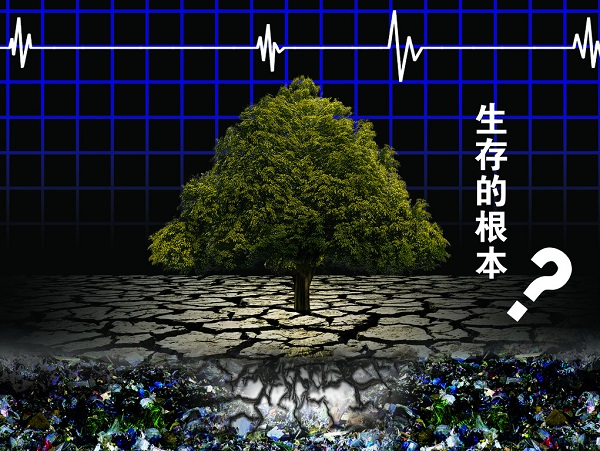 土壤重金属严重超标，土壤修复离不开土壤检测仪