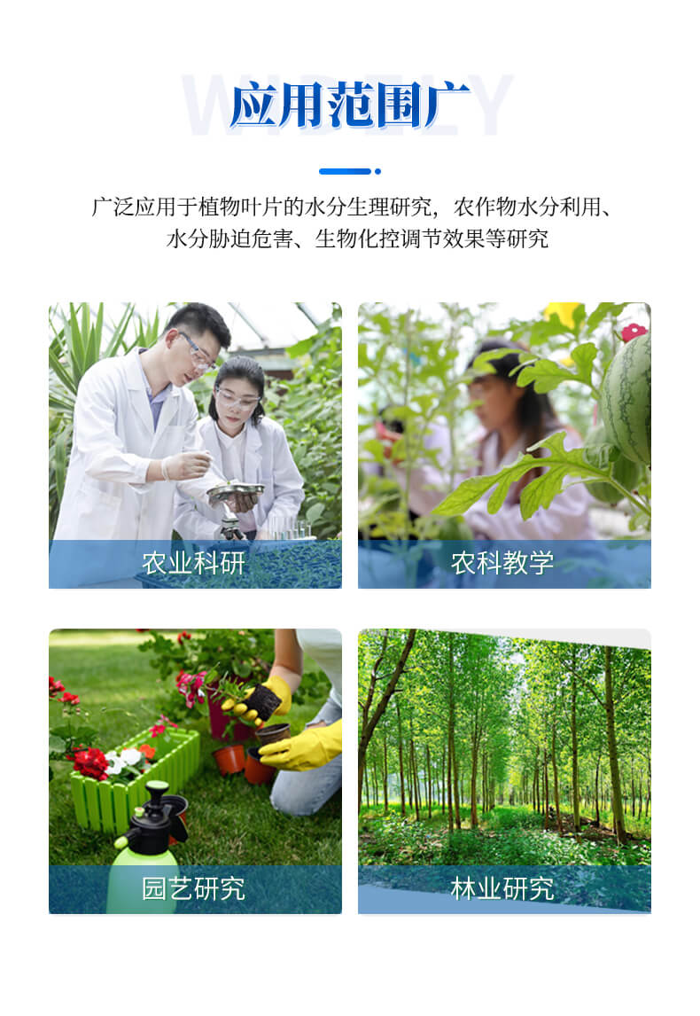 植物蒸腾速率测定仪