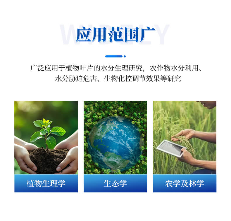 植物水势仪