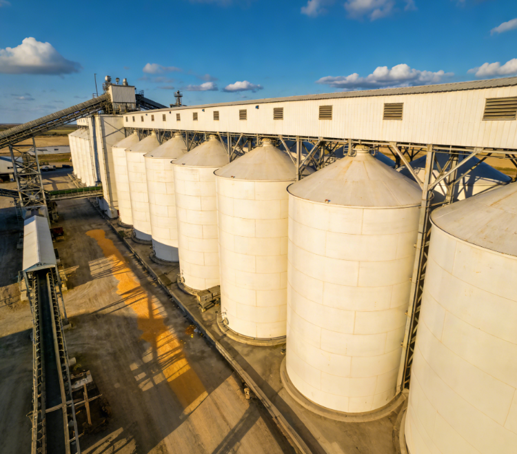 山东真菌毒素检测仪哪个牌子好?本地厂家售后 48 小时响应