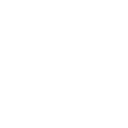 图标
