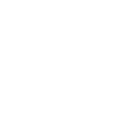 图标