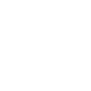 图标