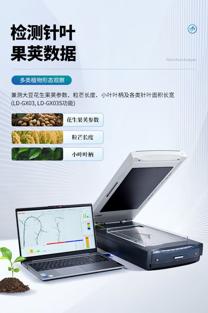 植物根系分析系统