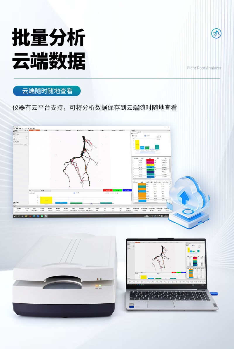 植物根系分析系统